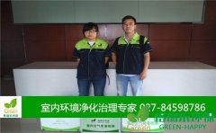 湖北交投石化甲醛检测