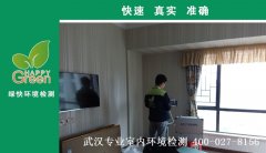 武汉市青山区园林路林湘新苑新房甲醛检测