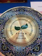 恭贺湖北格瑞乐环保王贵军荣获2013-2018“杰出贡献奖”