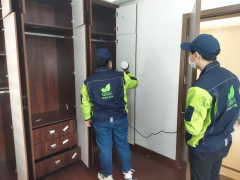 光谷除醛挑花眼？格瑞乐超亮眼！