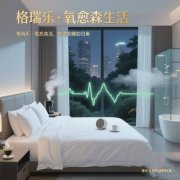 格瑞乐负氧离子，酒店客房的 “异味隔离带”