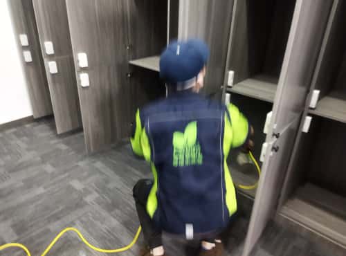 武汉除醛创业，前景真敞亮！