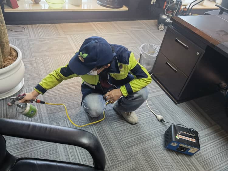 武汉新屋铺地板，甲醛隐患别忽视！这样治理才安心